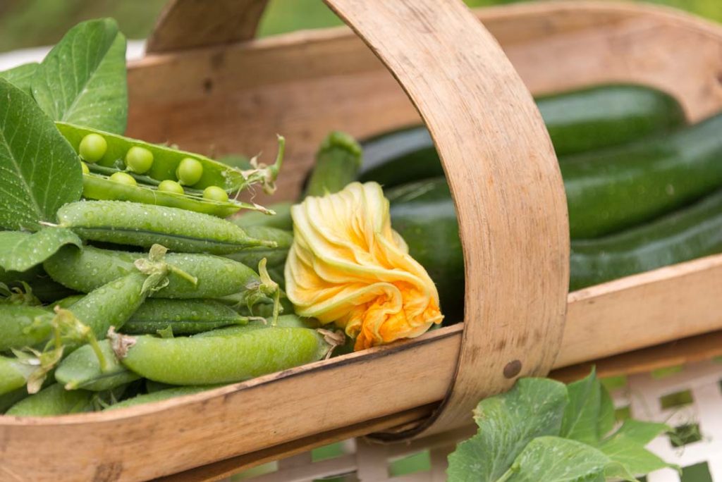 Gluts of some vegetables like peas and courgettes make for high FODMAP eating
